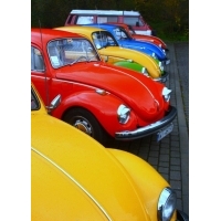 fot.Artek