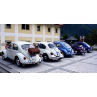 fot.Artek
