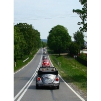 fot.Artek