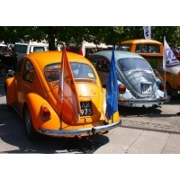 fot.Artek