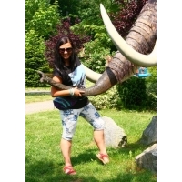 fot.Artek