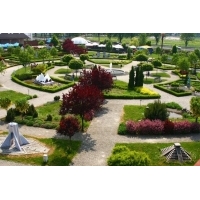 fot.Artek