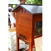 fot.Artek