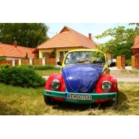 fot.Artek