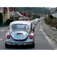 fot.Artek