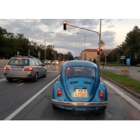fot.Artek