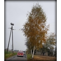 fot.Artek