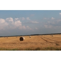 fot.Julka