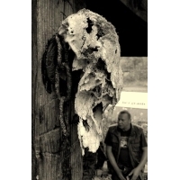 fot.Artek