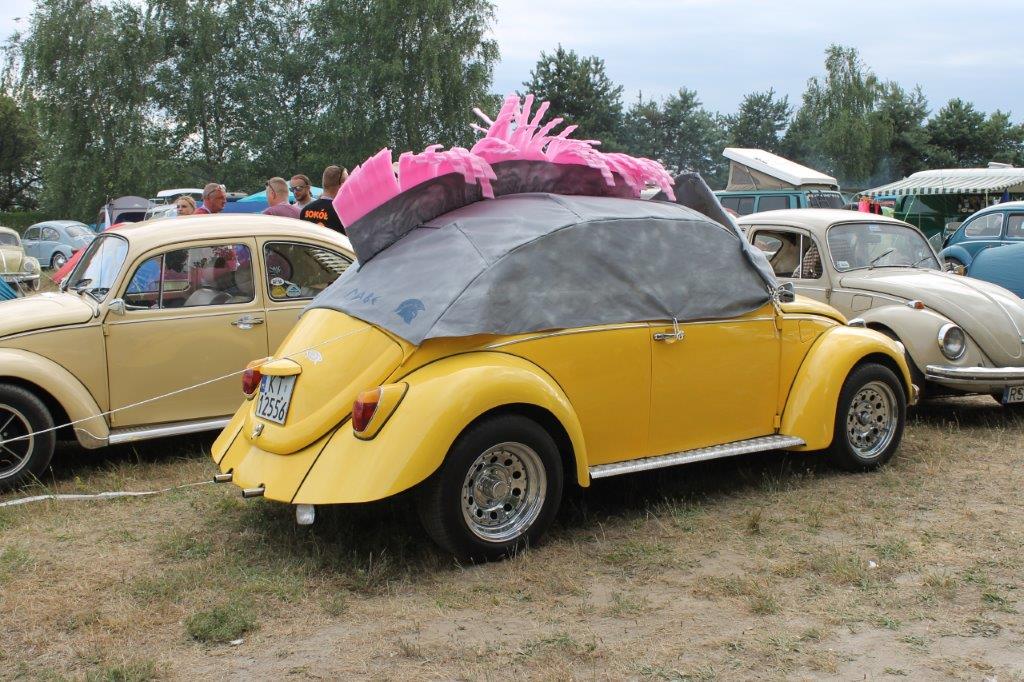 fot.Julka