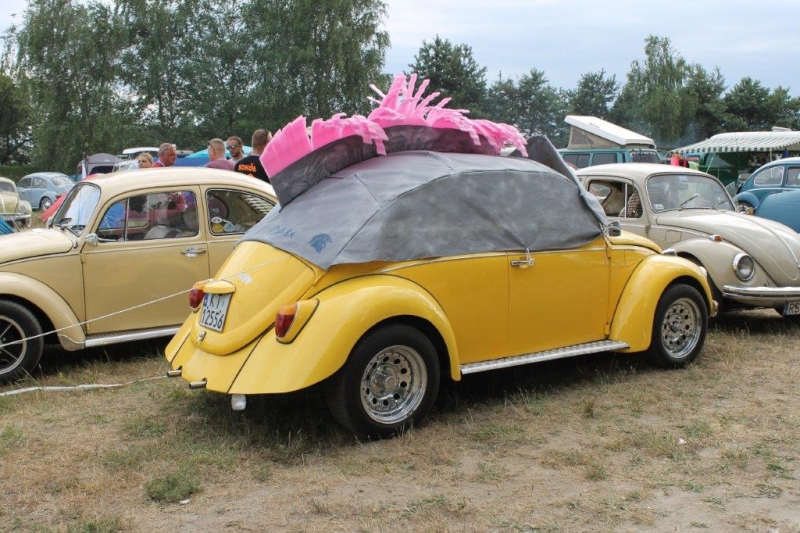fot.Julka