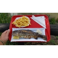 fot.Artek