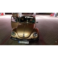 fot.Artek