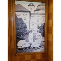 fot.Artek