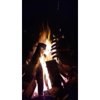 fot.Piotrek