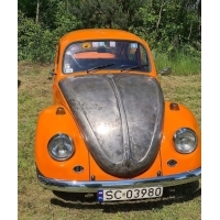 fot.Piotrek