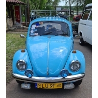 fot.Piotrek