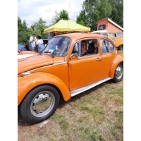 fot.Piotrek
