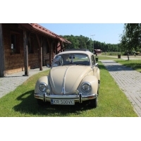 Fot.Sądeccy