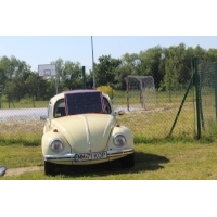 Fot.Sądeccy