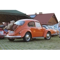 fot.D.Ostrovsky