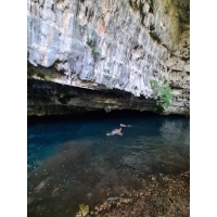 fot.Artek