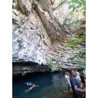 fot.Artek