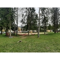 fot.Piotrek