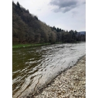 fot.Piotrek