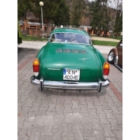 fot.Piotrek