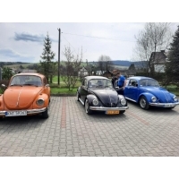 fot.Piotrek