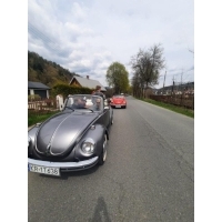 fot.Piotrek