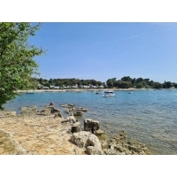 fot.Artek