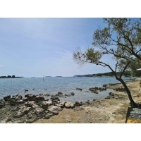fot.Artek