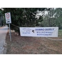 fot.Artek