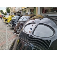fot.Artek