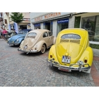 fot.Artek