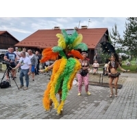 fot.Artek
