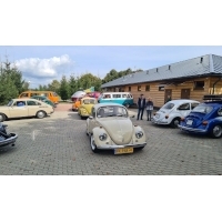 fot.Artek