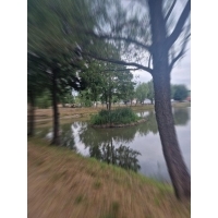 fot.Sabina