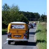 fot.Artek 234.jpg