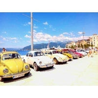 fot.Ola