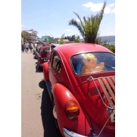 fot.Ola