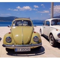 fot.Ola