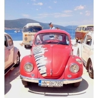 fot.Ola