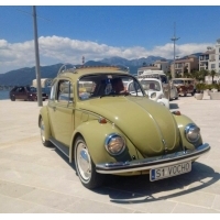 fot.Ola