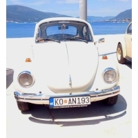 fot.Ola