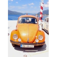 fot.Ola