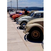 fot.Ola