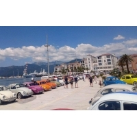 fot.Ola